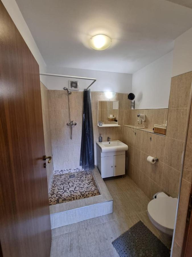 Casa Romana Apartment Ploiesti Exterior photo
